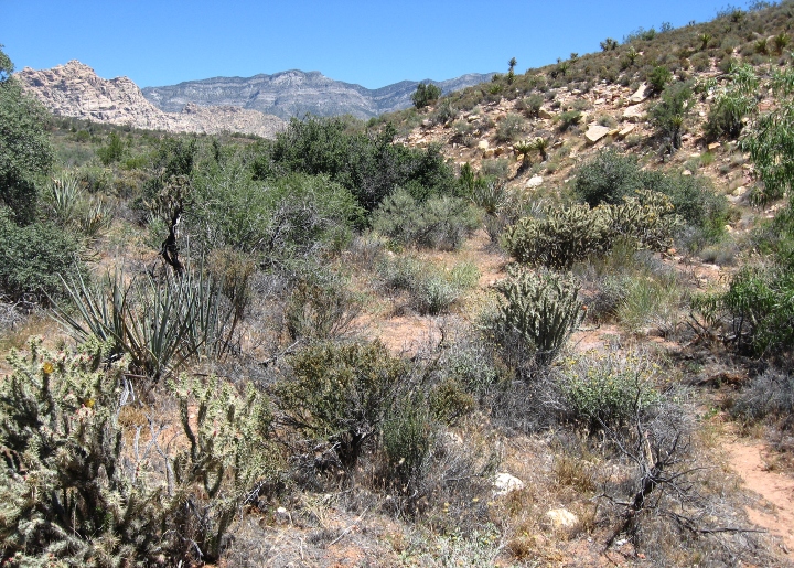 Boulder City